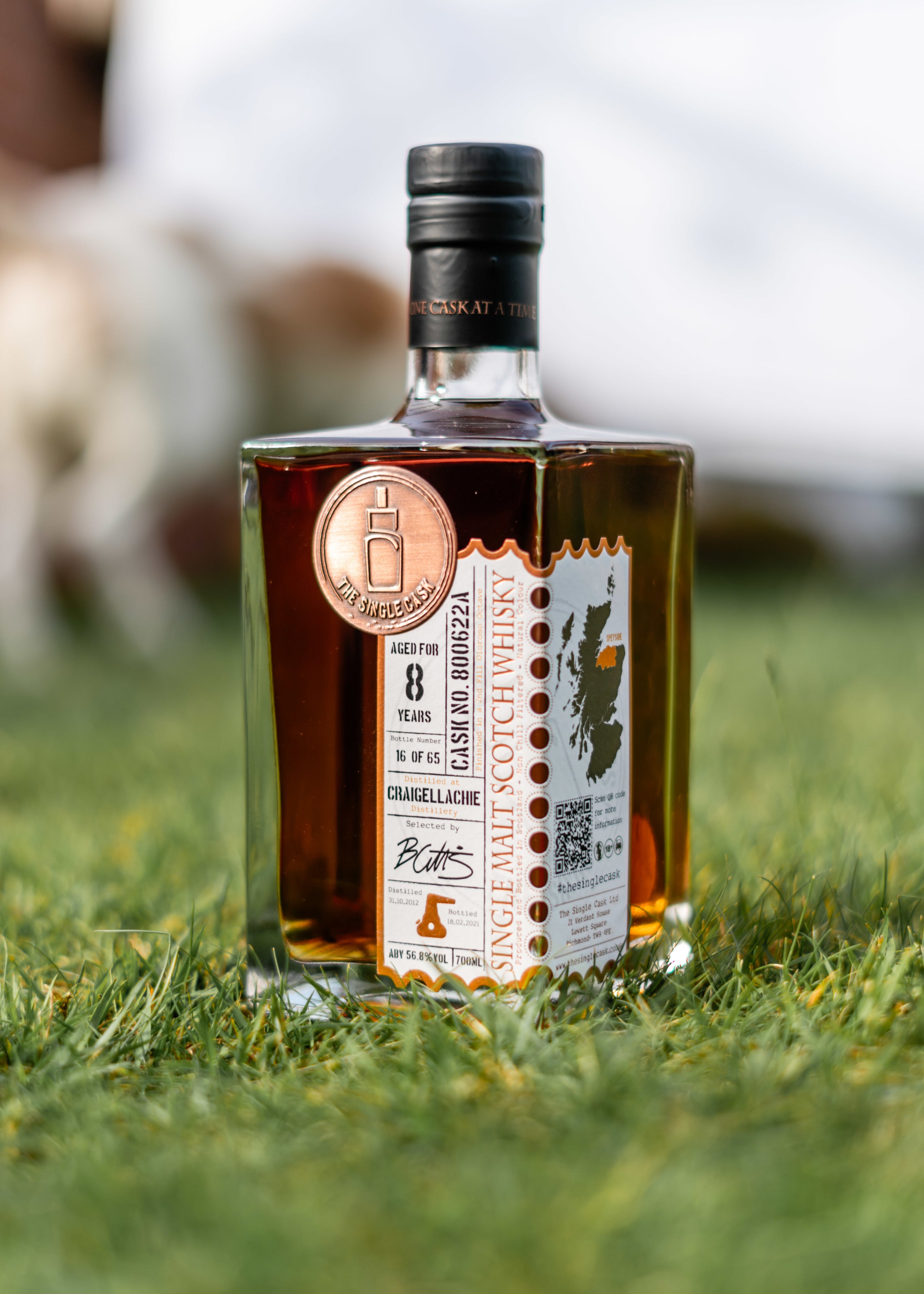 The Single Cask · Craigellachie · 8 Years · Cask 800622A bottle